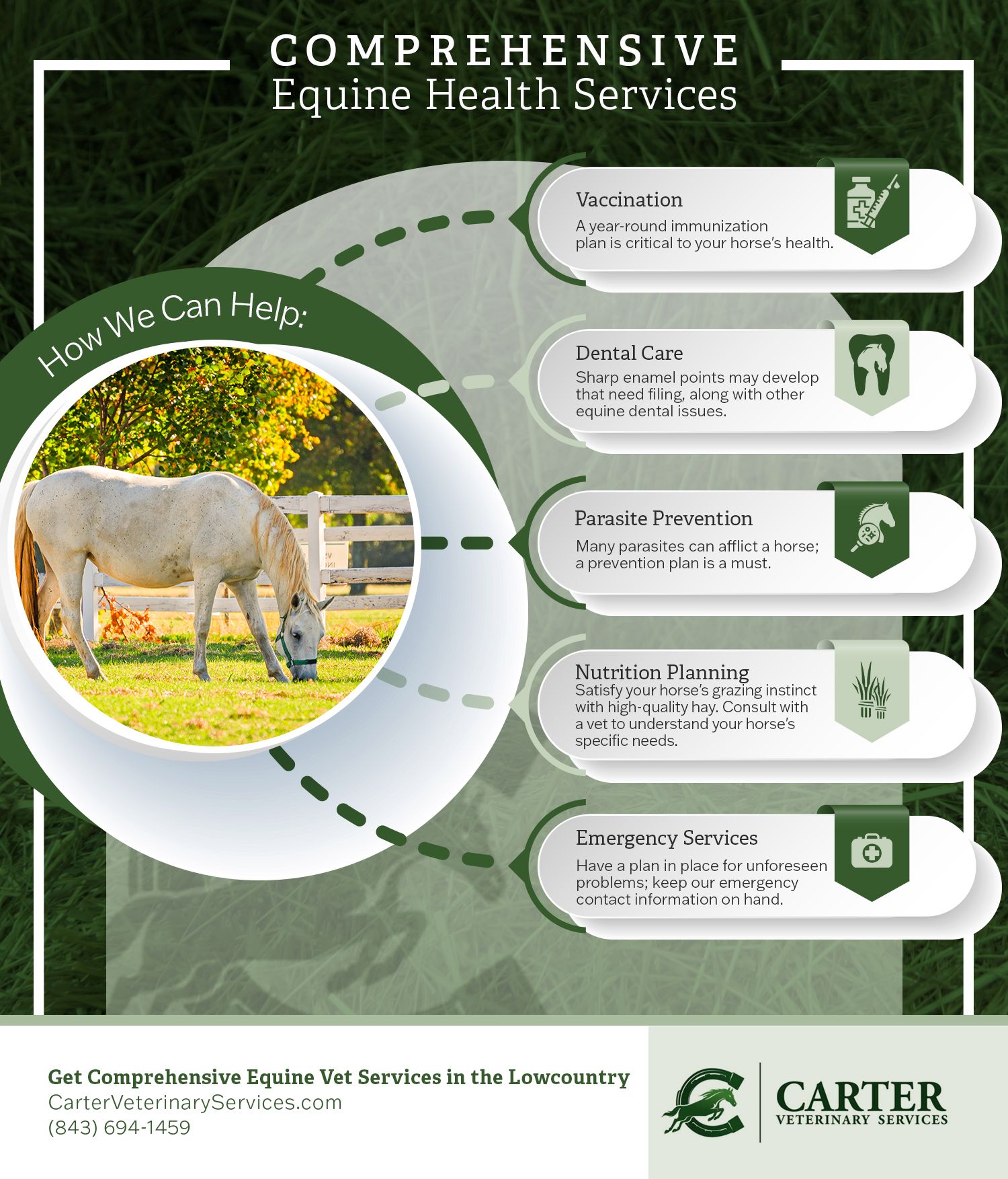 Horse Vaccinations In The Lowcountry Vaccines To Give Your Horse